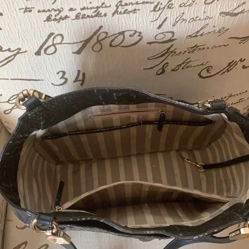 Brahmin - Picture 6 of 12